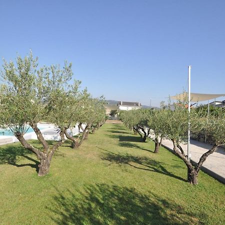 Vila Olival Da Seara Marco de Canavezes Exteriér fotografie